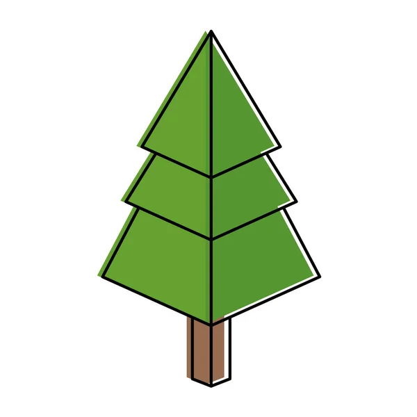 Σχέδιο δέντρων πεύκων ισομετρική — Διανυσματικό Αρχείο