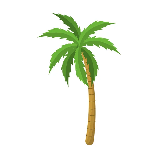 Geïsoleerde palm tree Algorithm — Stockvector