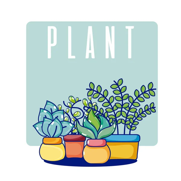 Set Cactus Pots Cute Cartoons Vector Illustration Graphic Design — Stock Vector