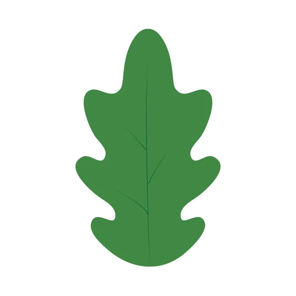격리 된 잎 디자인 — 스톡 벡터