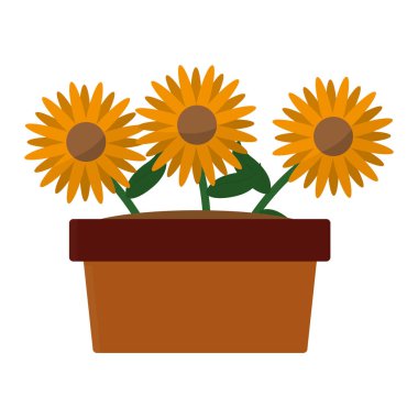 İzole ayçiçeği tasarım