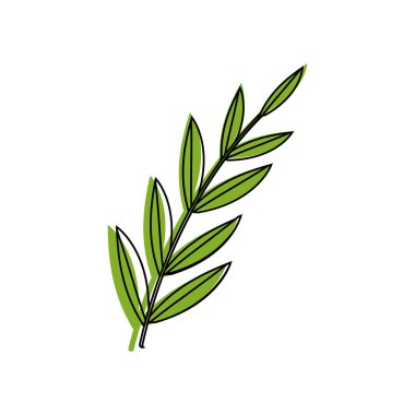 İzole yaprak tasarımı