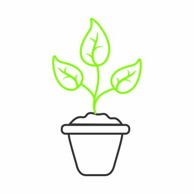 İzole bitki tasarımı