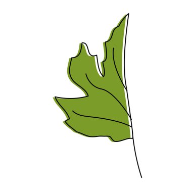 İzole yaprak tasarımı