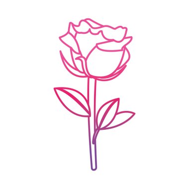 bozulmuş satırı tasarım dekorasyon doğa gül güzel