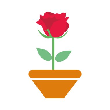 renkli güzel gül yaprakları ve yaprakları plantpot içinde