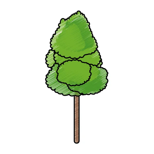 Izolované strom design — Stockový vektor