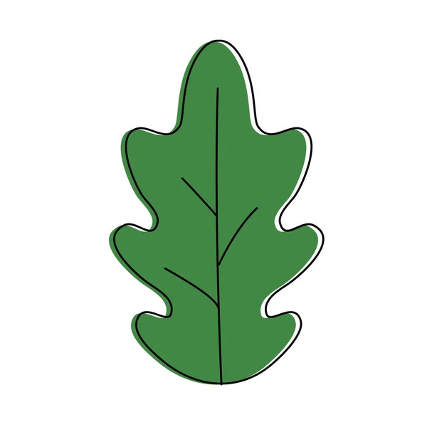 Diseño de hoja aislada — Vector de stock