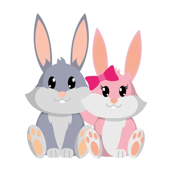 Coloré lapin couple mignon animal ensemble — Image vectorielle