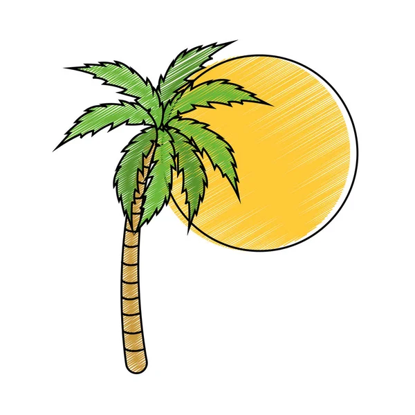 Geïsoleerde palm tree Algorithm — Stockvector