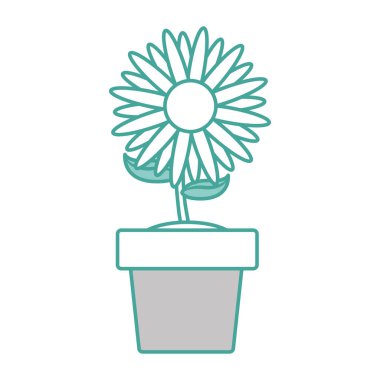 İzole ayçiçeği tasarım