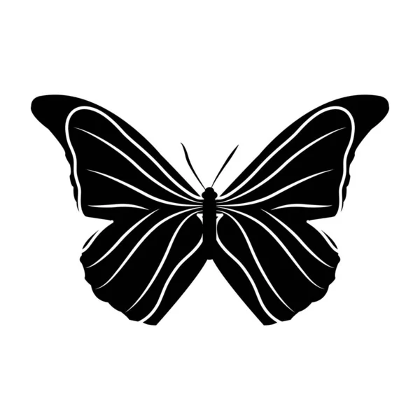 Silhueta beleza borboleta estilo animal para a primavera — Vetor de Stock