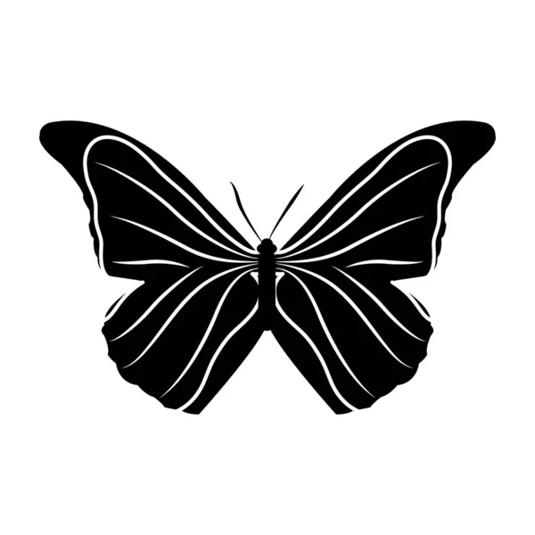 Silueta belleza mariposa estilo animal a la primavera — Vector de stock