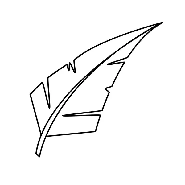 Diseño de plumas aisladas — Vector de stock