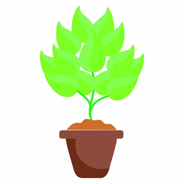 Isolated plant design — Stock Vector