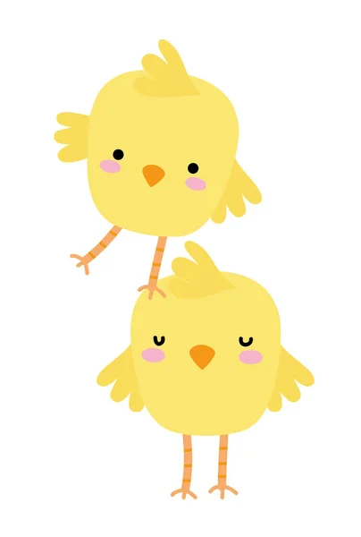 Colorful chicks farm birds animal playing — Stock Vector