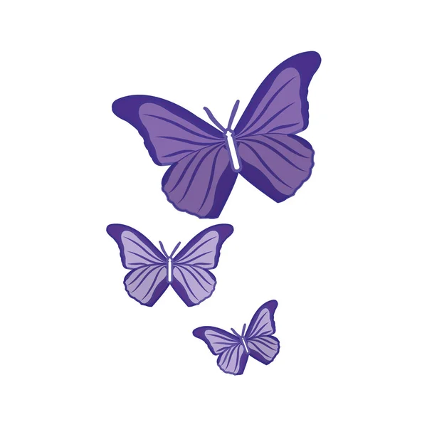 Duo couleur beauté nature papillons animal vol — Image vectorielle