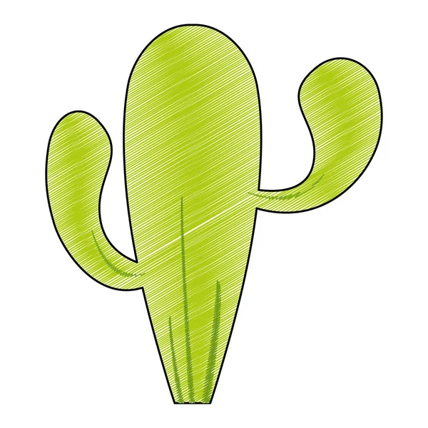Desain kaktus terisolasi - Stok Vektor