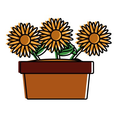 İzole ayçiçeği tasarım