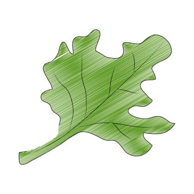 İzole yaprak tasarımı