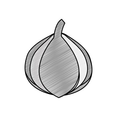 Soğan sebze sağlıklı ve organik gıda Tema izole tasarım vektör çizim