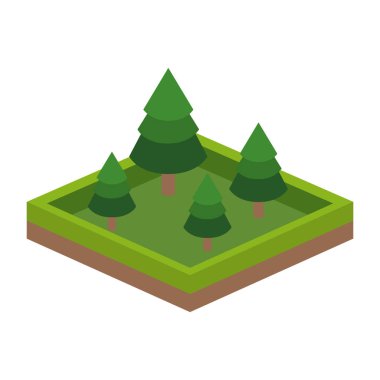 İzole çam ağacı tasarım