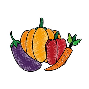 Kabak patlıcan biber ve havuç sebze sağlıklı ve organik gıda Tema Isolated vektör çizim tasarım