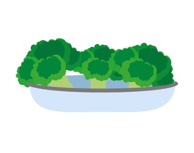 Brokoli sebze sağlıklı ve organik gıda Tema izole tasarım vektör çizim