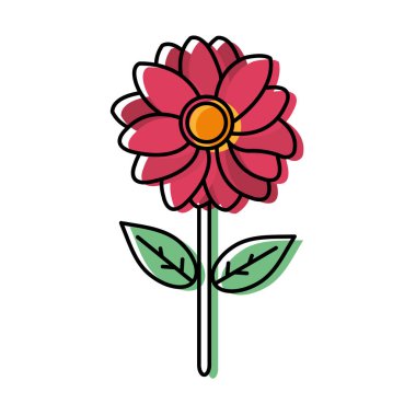 taşınan renk güzel çiçek doğa yaprakları ve yaprakları ile