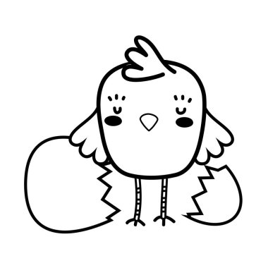 satır piliç çiftliği kuş hayvan Brokerlik yumurta