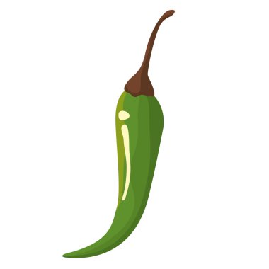 İzole chili biber tasarım