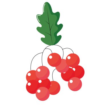 İzole cherrys tasarım