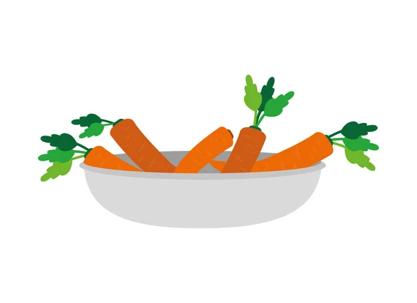 野菜と健康 有機食品テーマ分離デザイン ベクトル イラストのニンジン — ストックベクタ
