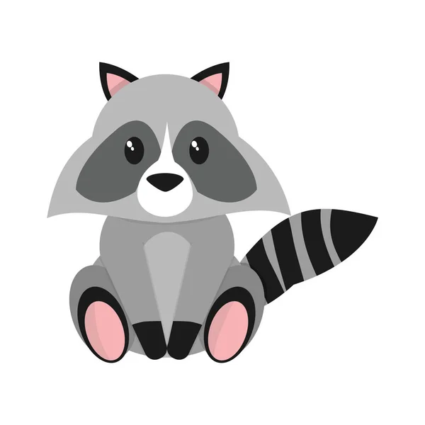 Raccoon cartoon design — Stock Vector