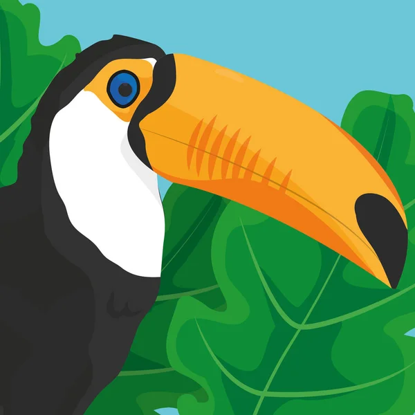 Tropic bladeren en toucan ontwerp — Stockvector
