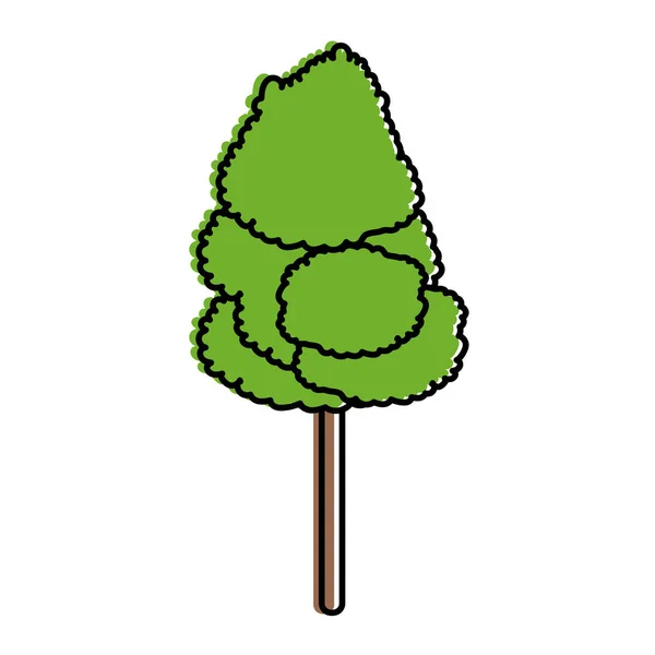 Σχέδιο απομονωμένο δέντρων — Διανυσματικό Αρχείο