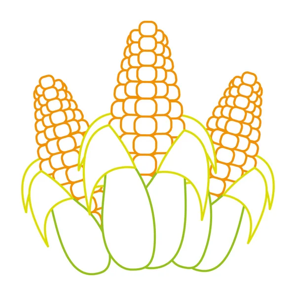 Изолированный дизайн кукурузы — стоковый вектор