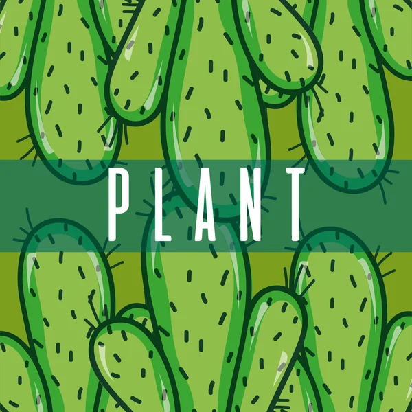 Şirin Kaktüs Bitkileri Renkli Arka Plan Üzerinde Resimde Grafik Tasarım — Stok Vektör