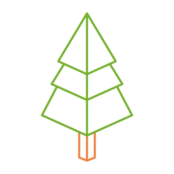 Isometric pine tree design — Stock Vector