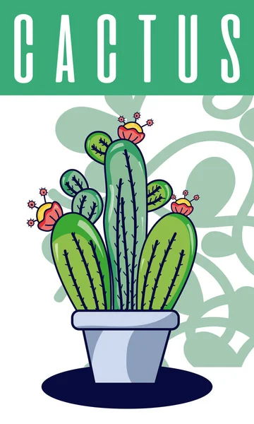 Cactus Maceta Planta Dibujos Animados Vector Ilustración Diseño Gráfico — Archivo Imágenes Vectoriales