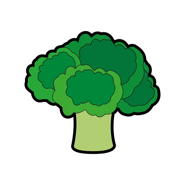 Brócoli Verduras Alimentos Saludables Orgánicos Tema Diseño Aislado Ilustración Vectorial — Vector de stock