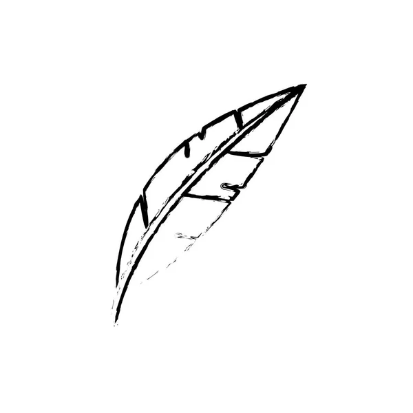 격리 된 깃털 디자인 — 스톡 벡터
