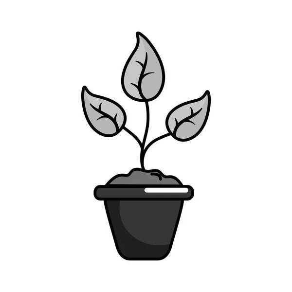 Diseño de planta aislada — Vector de stock