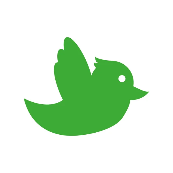 鸟的鸽子社交媒介和多媒体主题隔离设计向量例证 — 图库矢量图片