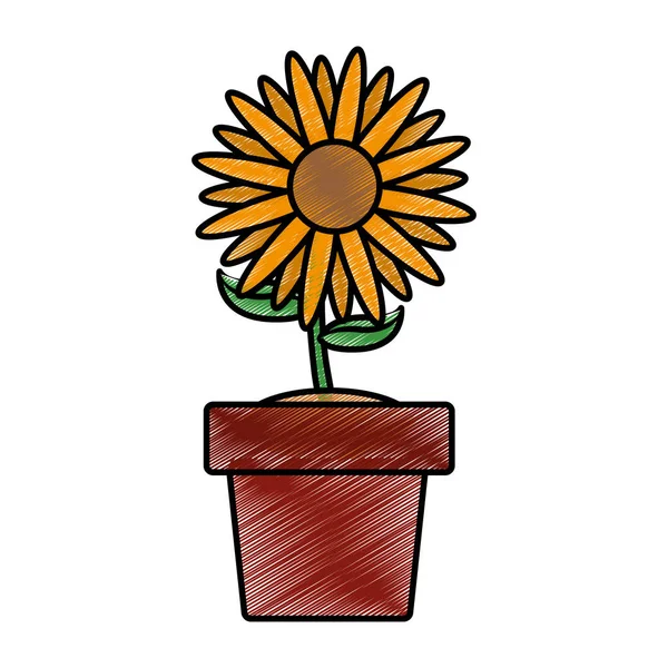 Diseño de girasol aislado — Vector de stock