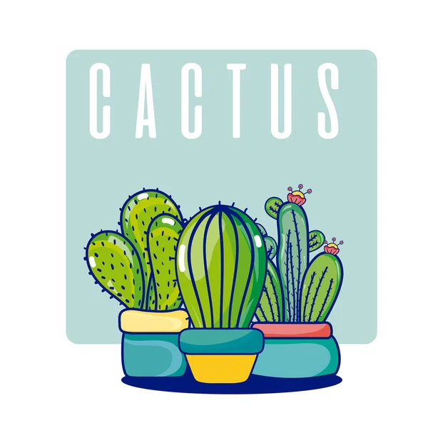 Conjunto Cactus Macetas Lindos Dibujos Animados Vector Ilustración Diseño Gráfico — Archivo Imágenes Vectoriales