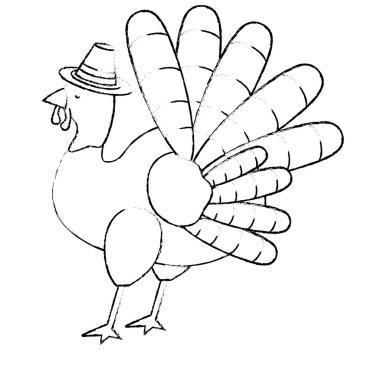 İzole Türkiye Tasarım