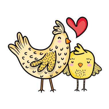 tavuk ve piliç sevgi ve ailenin bir arada
