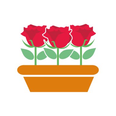 renkli güzel gül yaprakları ve yaprakları plantpot içinde