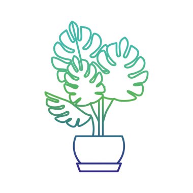 İzole bitki tasarımı 